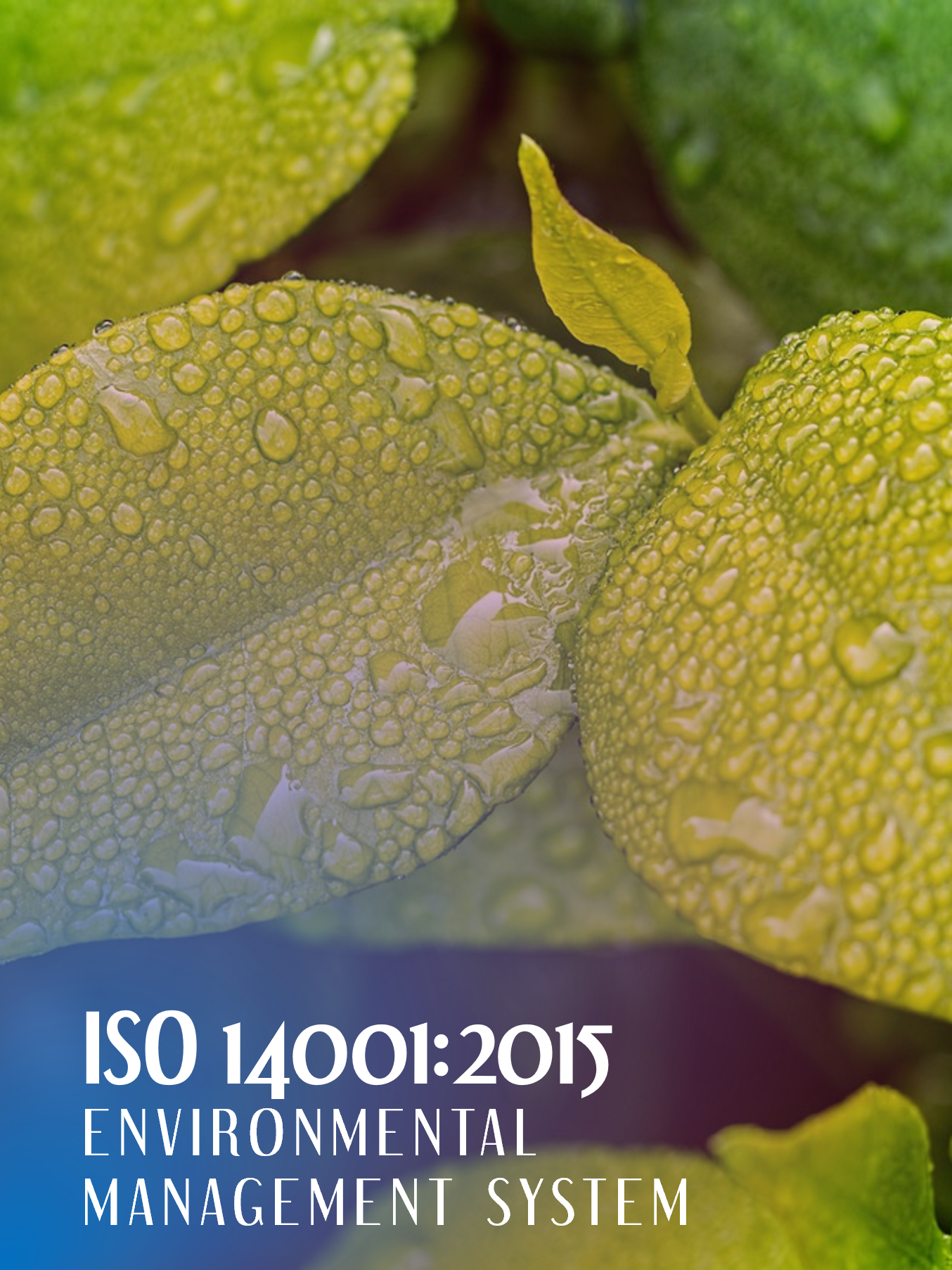 ISO 14001:2015